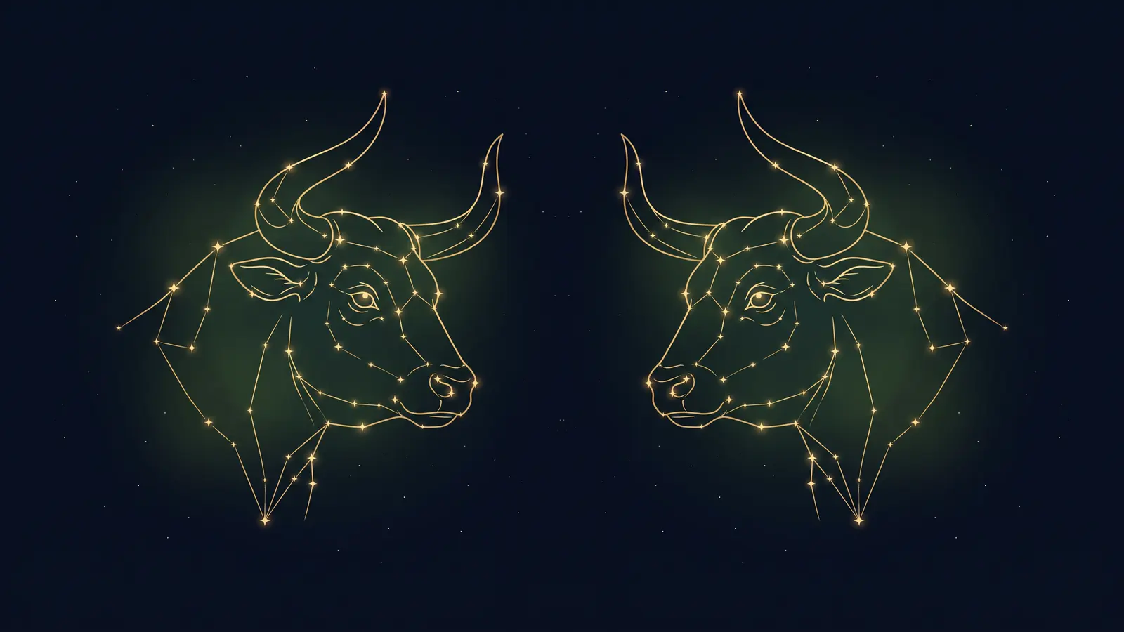 Two gold constellations of the bull, the symbol of Taurus, facing each other on a midnight sky